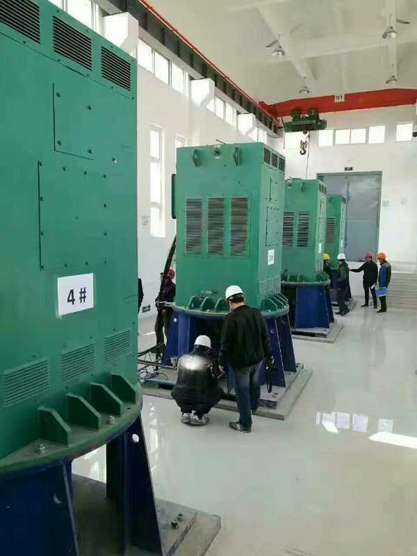 Y4003-4/355KW某污水处理厂使用我厂的立式高压电机安装现场