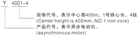 西安泰富西玛Y系列(H355-1000)高压Y4003-4/355KW三相异步电机型号说明